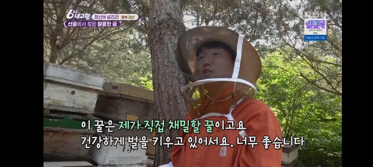 KBS 6시 내고향 방송 장면. 봉장에서 인터뷰하는 양봉가 서현석